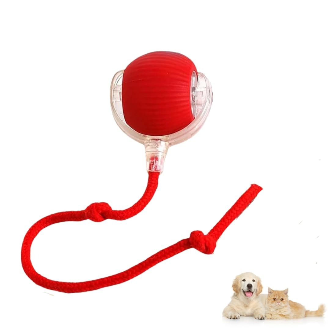 Cat Toy Ball With Led Light